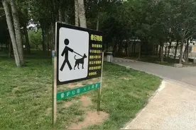 女子被藏獒吓撞车致高位截瘫 法院判狗主人赔100多万图片