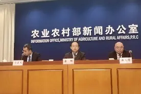 农业农村部提醒粮食囤积者：避免恐慌跟风，防止价格下跌带来损失图片