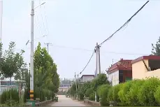 菏泽市巨野县王楼村：产业为基 村美为重 奋力开创乡村振兴新局面图片