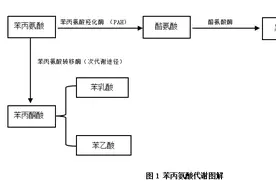 苯丙酮尿症和低苯丙氨酸饮食治疗图片
