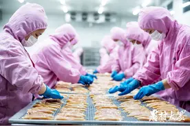隐形冠军里的新动能｜乖宝集团：用人类食品标准生产宠物食品，打造自主品牌占领国际市场图片