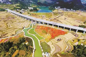 脱贫攻坚 见圳力量｜创新之钥 打开改变命运之门：深圳河池“山盟海誓”携手行图片