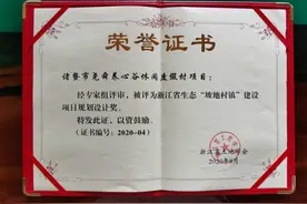 山坡上长出休闲旅居？诸暨这个地方从省里捧回大奖！图片