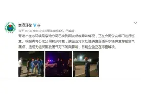青岛市民深夜闻到刺激性气味 官方：系青岛石化公司柴油泄露产生，对人体无害图片