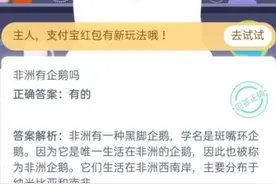 8月27日蚂蚁庄园答案公布 非洲有企鹅吗？非洲的企鹅是什么品种样子的图片