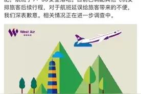 合肥至重庆客机起飞过程中疑似遭受外来小动物入侵 已返航落地图片