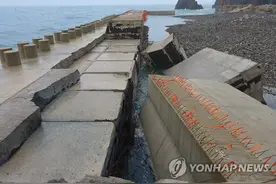 韩国多地受台风“巴威”影响发生灾害事故图片