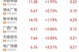 注册资本超千亿，国网阿里是股东，第四大运营商真的要来了图片