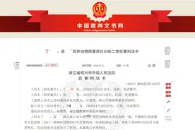 浙江女子受到藏獒惊吓撞车致残，狗主人116万元赔偿尚未完结图片