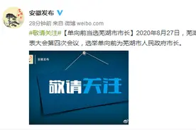 单向前当选芜湖市市长图片