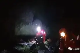 父母带娃进山找作文灵感，不料被困一夜只能取草保暖图片
