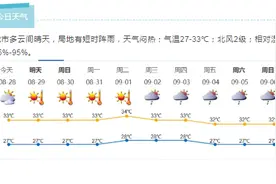 深新早点｜国深博物馆、前海城市新中心等十大项目集中开工，总投资303亿元图片