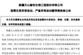 突发，最强“牛股”停牌核查！千亿芯片股猛回调，大基金已加仓！业绩大增的龙头名单曝光图片