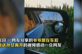热泪盈眶！孙女离开爷爷一路追车告别图片