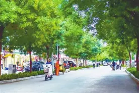 牛城小街巷精雕细琢的城市脉络图片