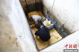 江西铜鼓：漫山竹笋有人识 笋干铺就“致富路”图片