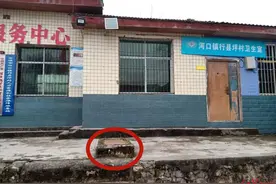 四川万源被盗百年石狮“回家”：警方曾悬赏寻找 系文物贩子租车雇人凌晨从村里抬走图片