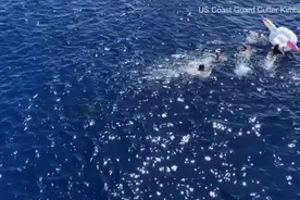 惊险！美国海警船员开海上派对，突然游来两米多长鲨鱼图片