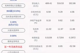 浪潮信息：2020年半年度净利润约4.06亿元，同比增加48.45%图片