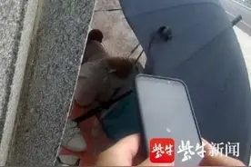 烈阳下女子全身捂严睡桥面：我不热，在除湿图片
