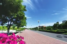 通畅邯郸，一日看尽古城花图片