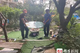 小区一楼居民改造公共绿地修建“私家花园”被城管查处图片