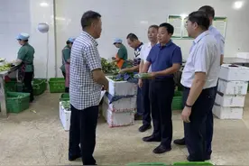 赵英杰副厅长带队赴川调研德阳直供海南蔬菜生产基地建设工作图片