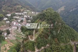 全网求助！半夜几条黑影频频窜下山，这里的村民不敢睡！还敲锣打鼓放爆竹图片