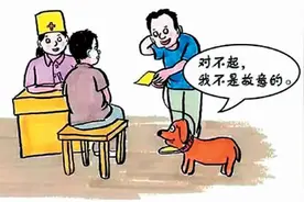 宠物伤人，谁来承担责任图片