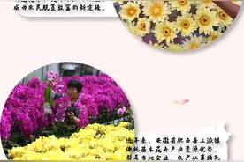 幸福像花儿一样图片