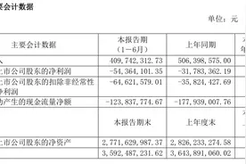 金种子酒上半年净亏5436.41万元图片
