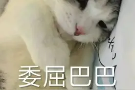 浙江姑娘吐槽：婆婆叫我在公公面前别穿吊带裙图片