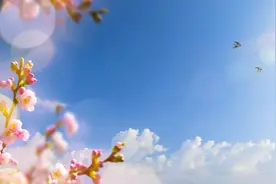 孩子是家庭的一面镜子图片