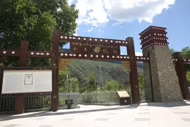「幸福花开新边疆」小小核桃树 奔上“致富路”图片