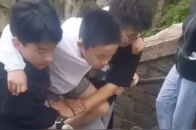 泰山上这一幕，火了图片