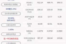 交卷！长江电力：2020年半年度净利润约79.03亿元，同比下降7.81%图片