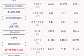 交卷！驰宏锌锗：2020年半年度净利润约3.69亿元，同比下降47.08%图片