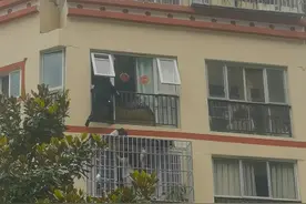3岁女童翻窗跌落至雨棚，多亏楼下警嫂单手托举单手电话报警……图片