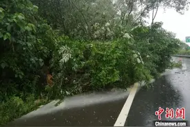 四川雅安多地出现暴雨 芦山预警升级为红色图片