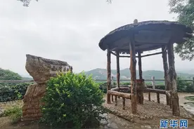 山水田园里 趟出“幸福路”——天津美丽乡村新图景图片