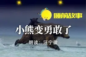 睡前故事丨小熊变勇敢了图片