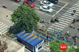 交通拍客 | 海口友谊阳光城旁斑马线“挤满”百辆共享单车图片
