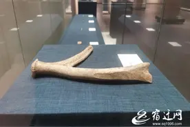 文化宿迁的印记·馆“宝”系列报道图片