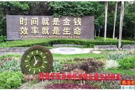 产业创新的风往哪个方向吹？时代的“追风人”传承着特区精神图片