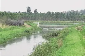 水清岸绿美如画 生态宜居润城乡——南阳城区溧河综合治理工程综述图片