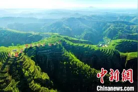 一“退”一“还”“黄土变绿洲”助农脱贫增收图片
