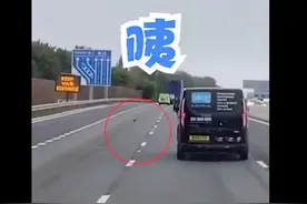 时速100公里！英国高速上出现野生涡轮增鸭 网友：让烤鸭飞一会儿图片