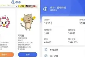 6000多人投入上亿只为“云撸猫”？警惕“躺赚”套路视频封面