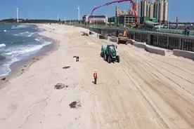 威海荣成市：大型沙滩清理车守护最美海岸线图片