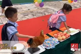 开学第一天摸鸡、摸大葱？山东这个幼儿园画风有点可爱图片